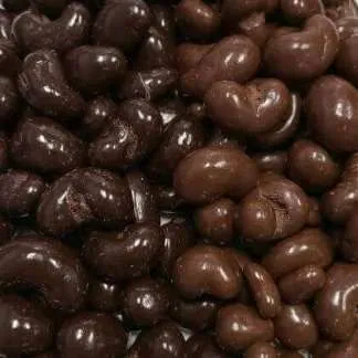 Chocolate Coated