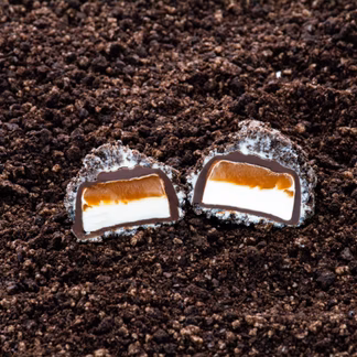 Photo of Chocolate Moon Rocks 4 ct