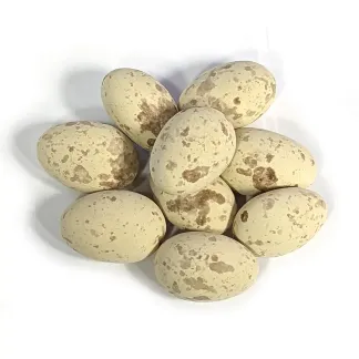 Photo of Gourmet Dark Chocolate Caramel Quail Eggs 6 oz