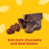 Photo of Raisinets Dark Chocolate 3.1 oz