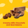 Photo of Raisinets Milk Chocolate 3.1 oz