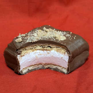 Photo of Chocolate Covered S'mores