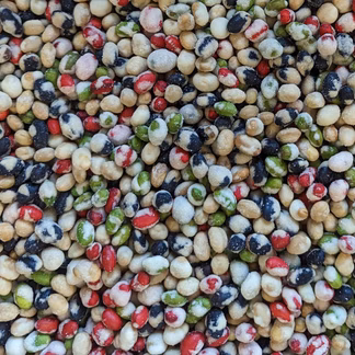 Photo of Wasabi 4 Bean Mix 8 oz